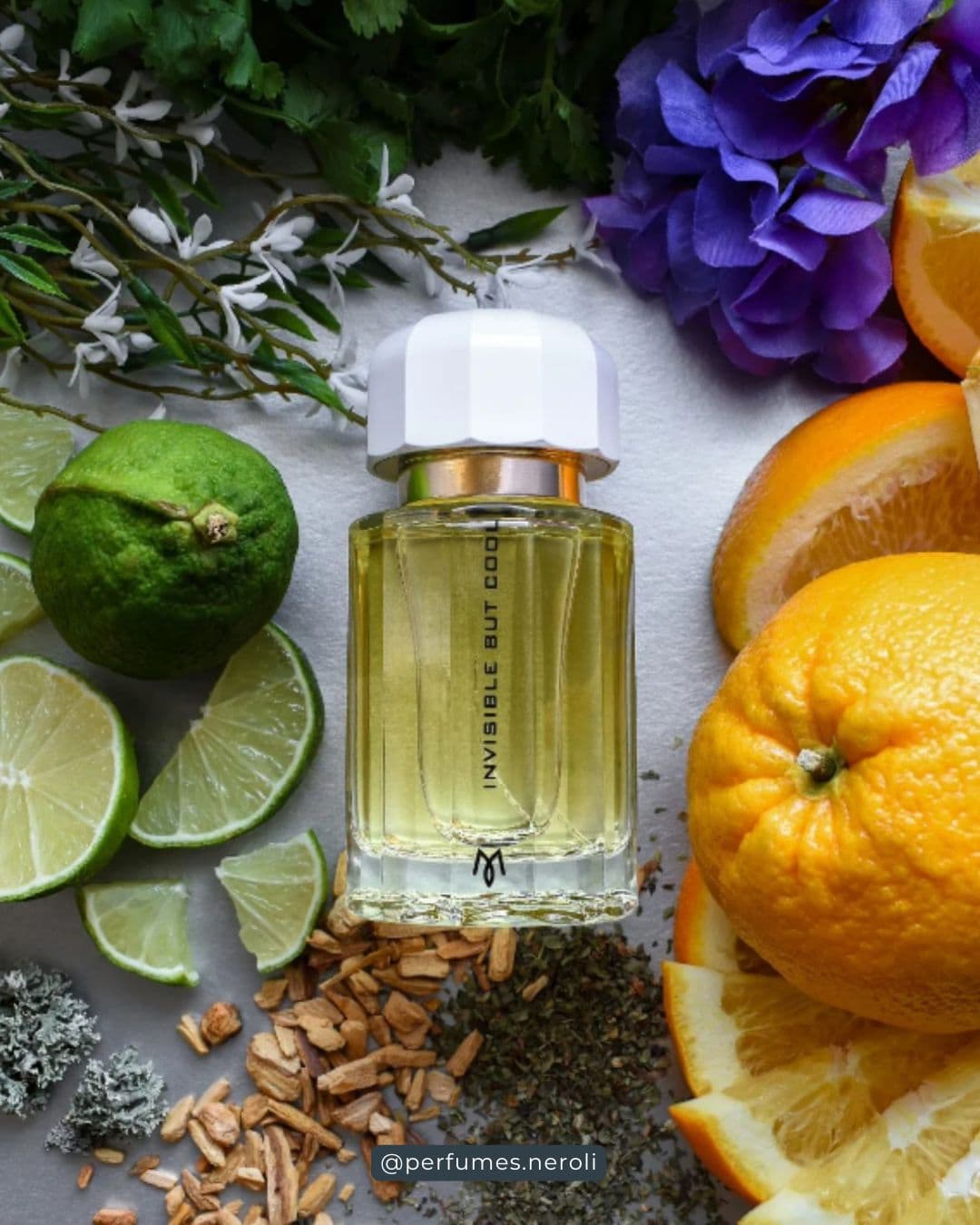 Invisible But Cool de Ramón Monegal