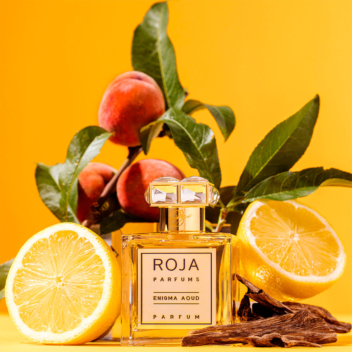 Enigma Aoud - Roja Parfums - EDP 100ml