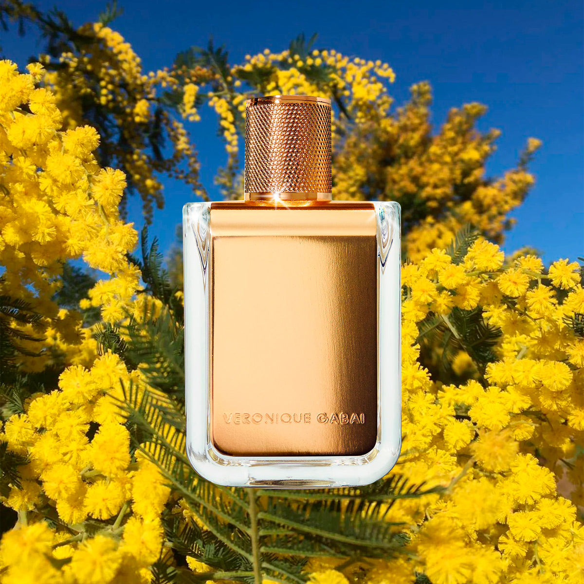 Mimosa in the Air - Veronique Gabai - EDP 85ml