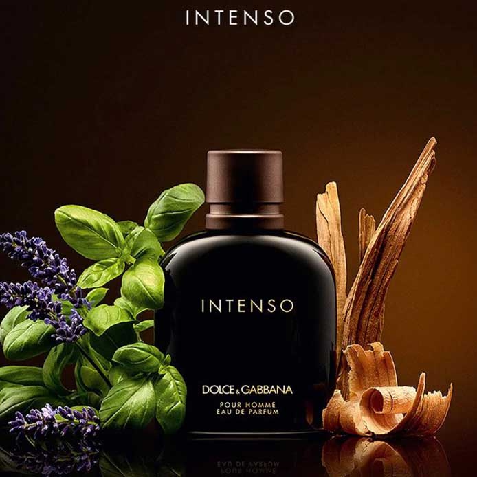 Dolce & Gabbana Intenso