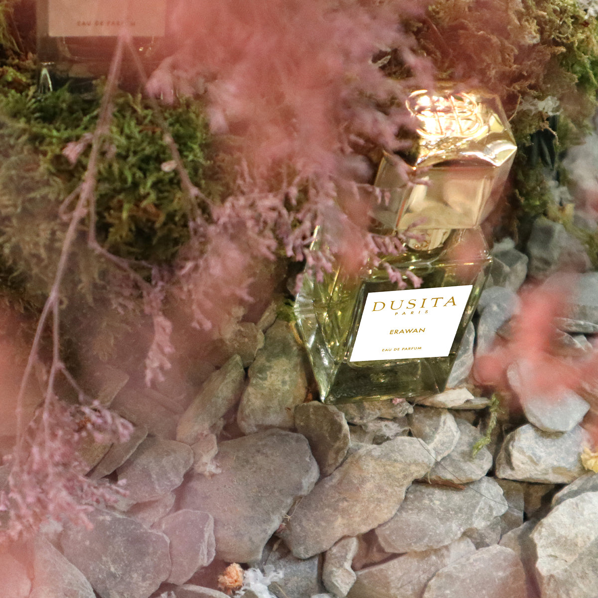 Collection I "Cofre Edición Limitada" - Duista Paris - 3 x 15 ml