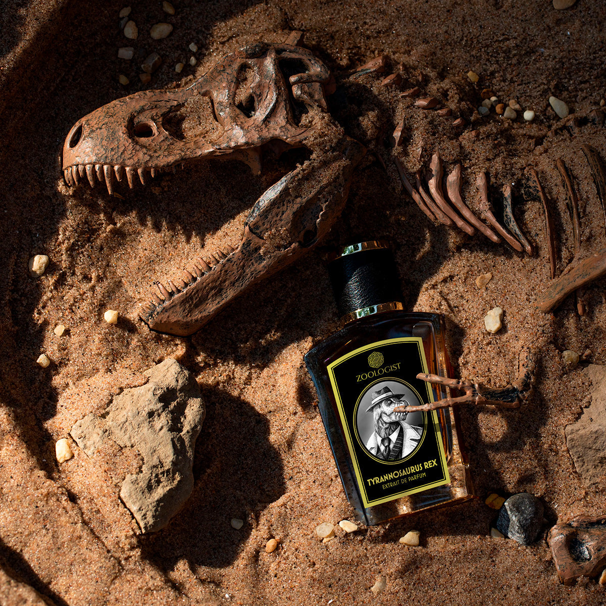 Tyrannosaurus Rex - Zoologist - EP 60ml