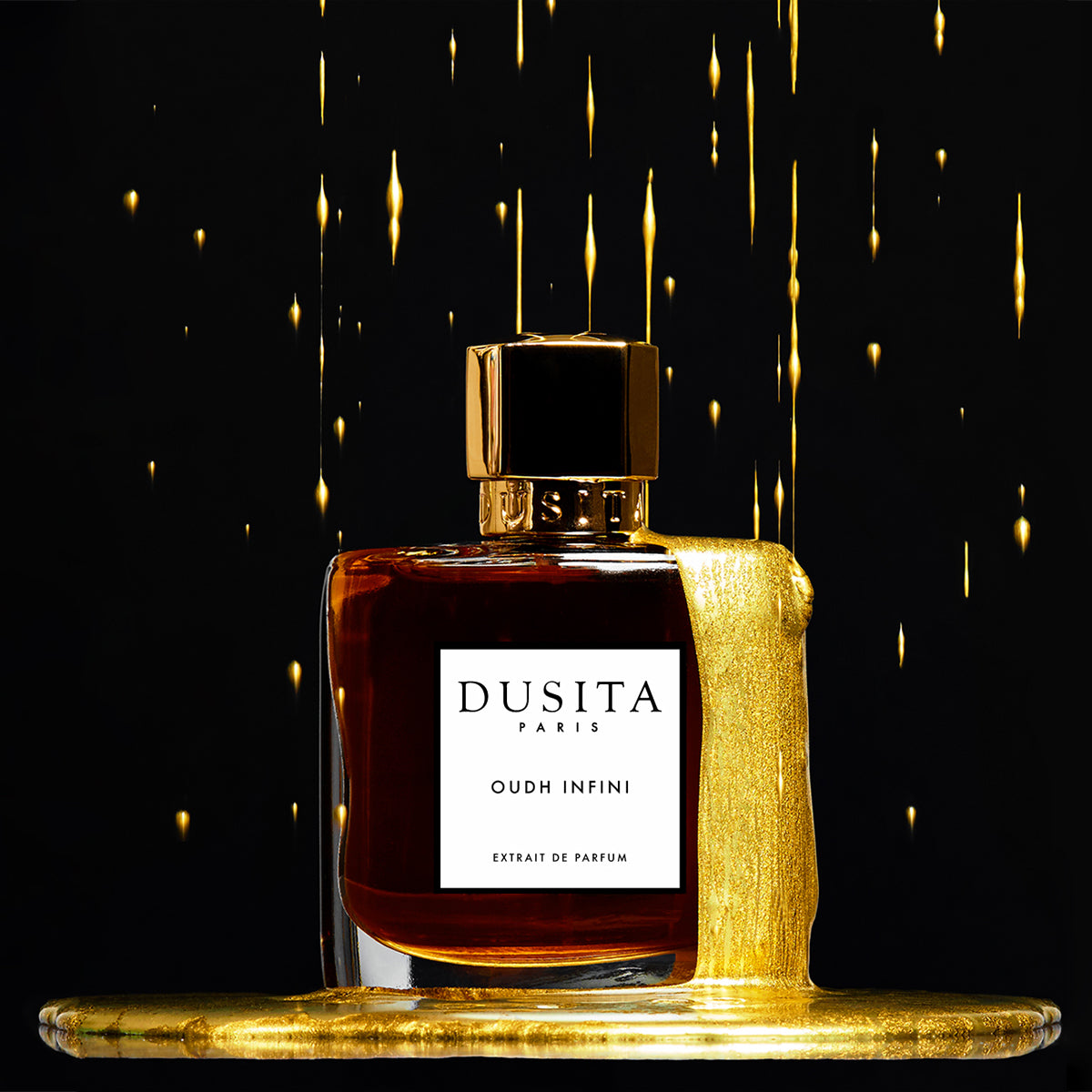 Oudh Infini - Dusita Paris - EP 50 ml