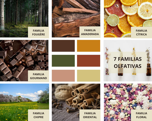 Descubre tu aroma perfecto: Una guía completa de las familias olfativas - MisPerfumes