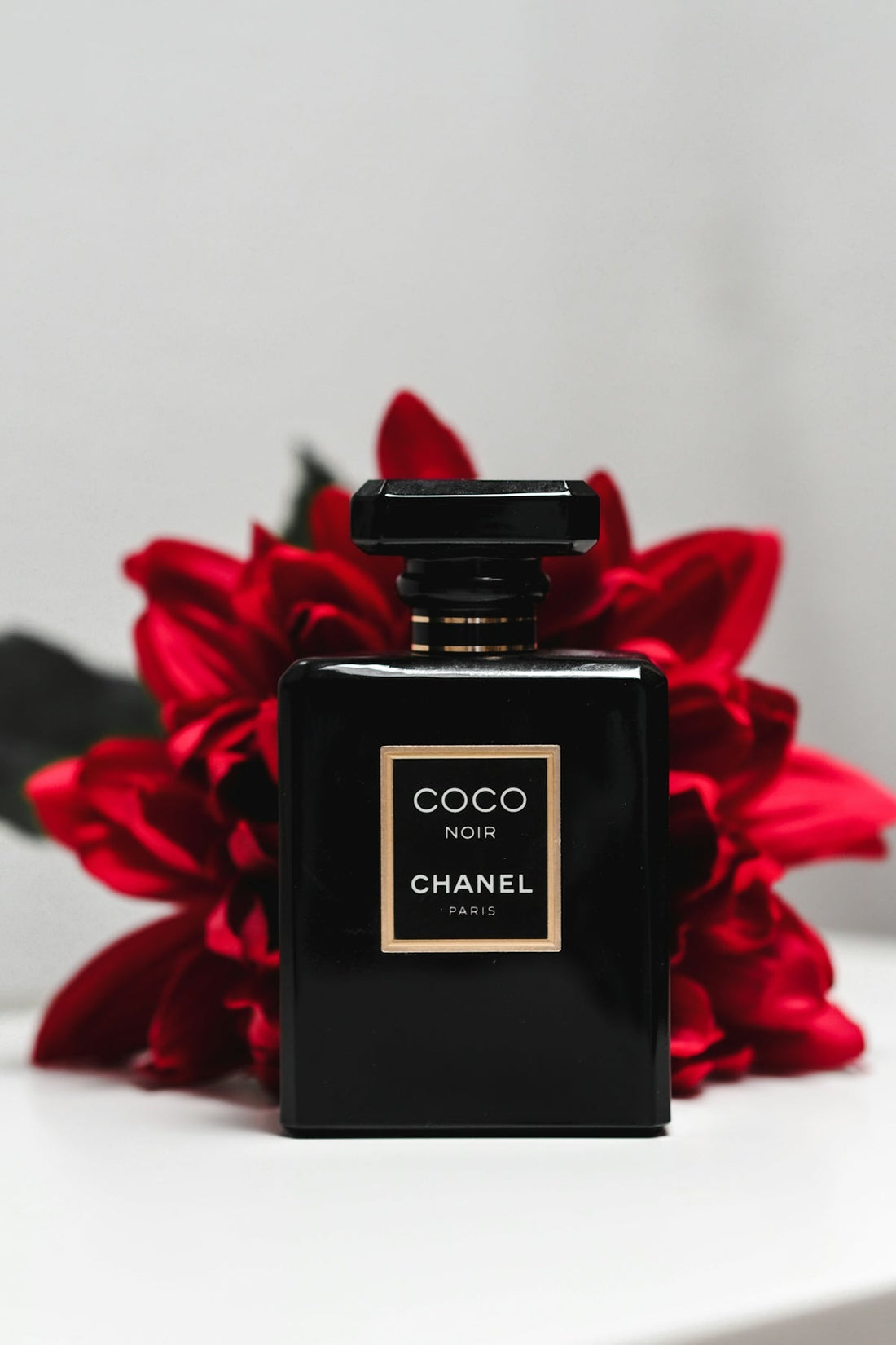 Las Fragancias Más Trendy del Año - MisPerfumes