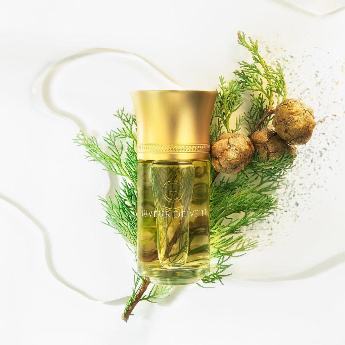 Buveur de Vent - Liquides Imaginaires - 100ml