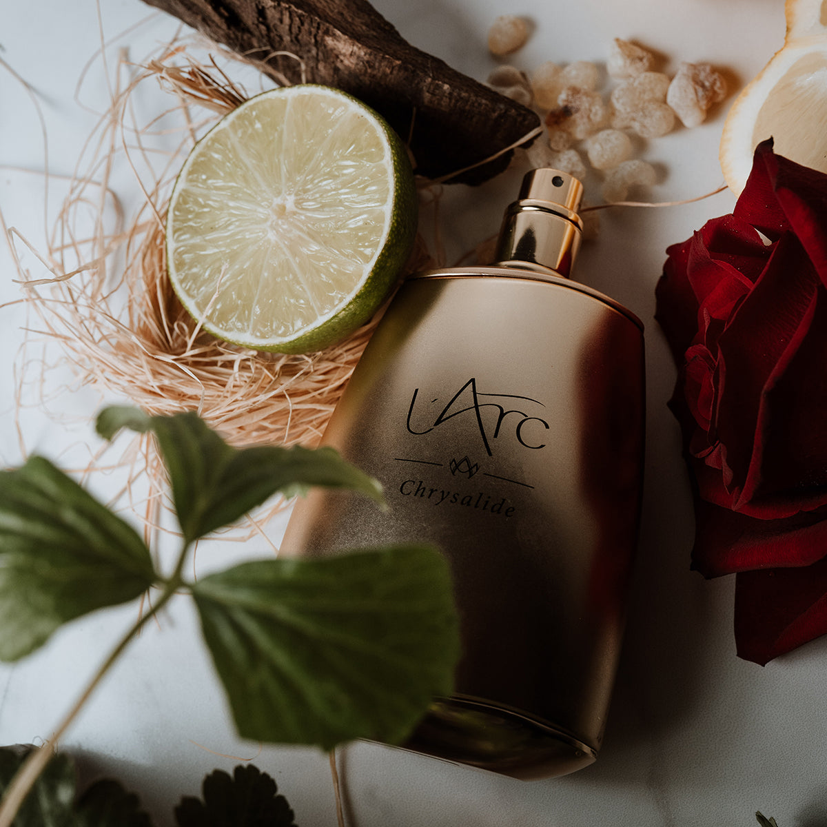 Chrysalide - L'Arc - EDP 100ml