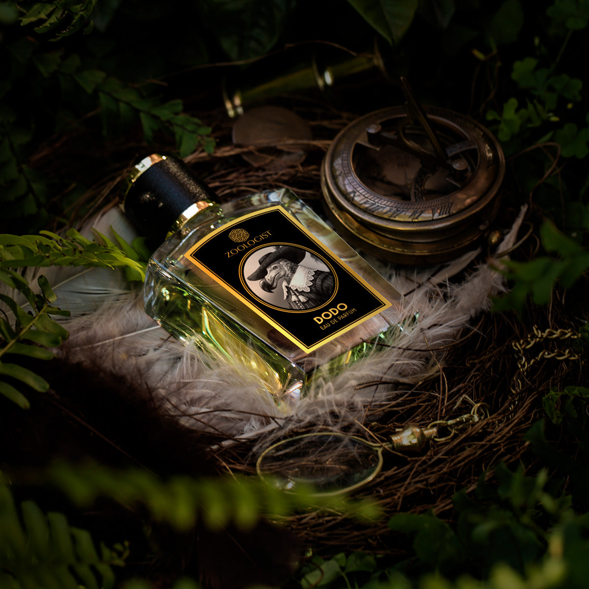 Dodo - Zoologist - EDP 60ml