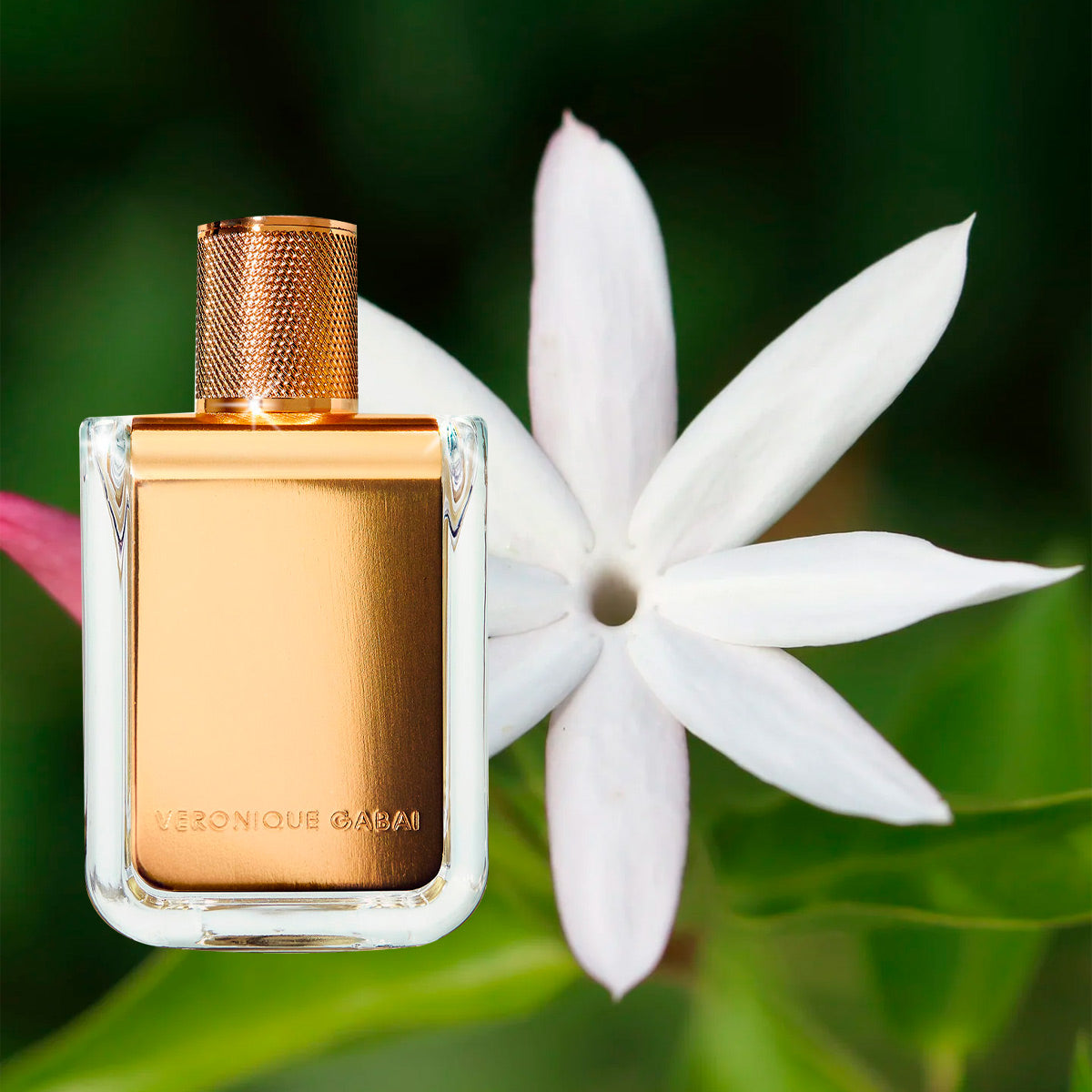 Jasmin De Minuit - Veronique Gabai - EDP 85ml