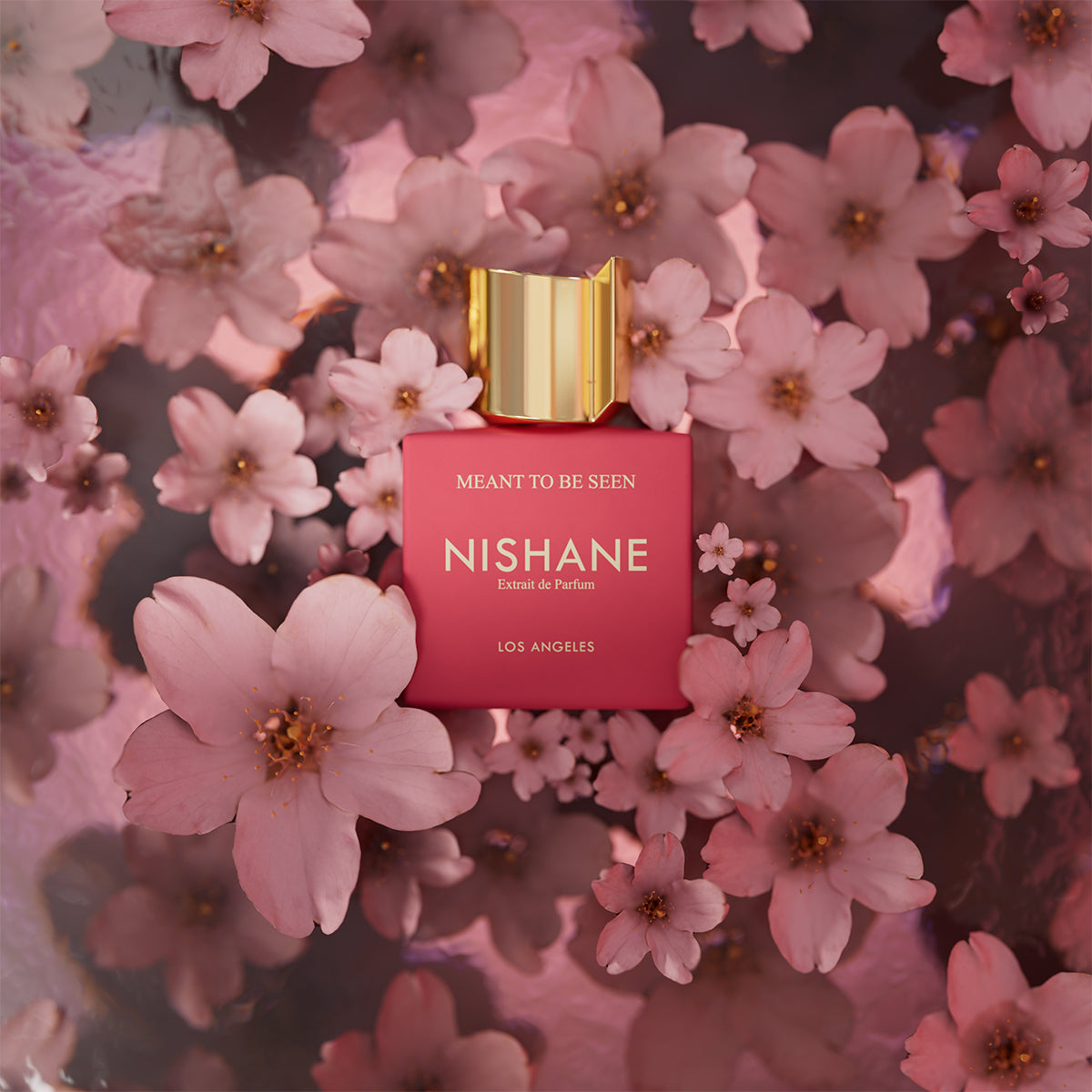 Meant To Be Seen - Nishane - EDP 50 ml
