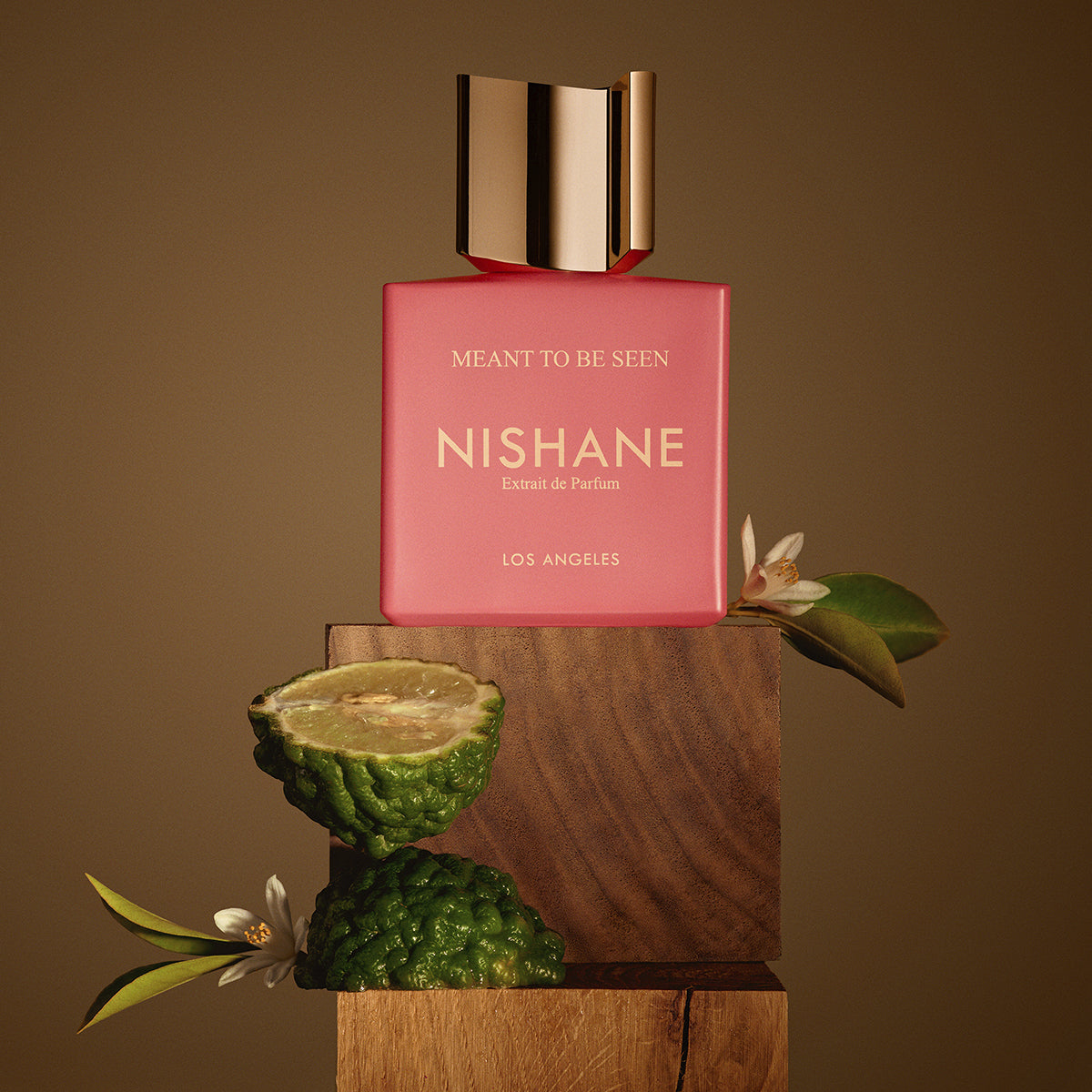 Meant To Be Seen - Nishane - EDP 50 ml