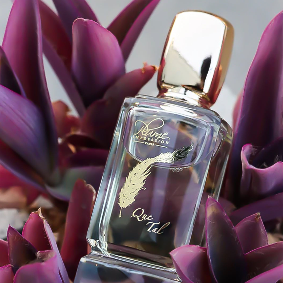 Que Tal - Plume Impression Paris - EDP 80ml