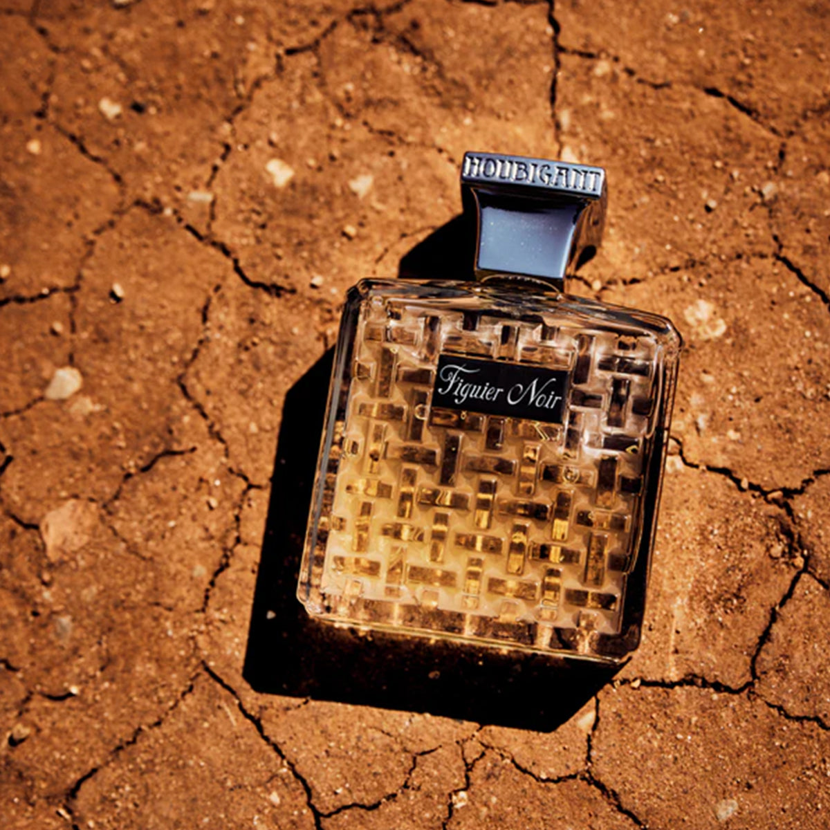 Figuier Noir - Houbigant Paris - EDP 100ml