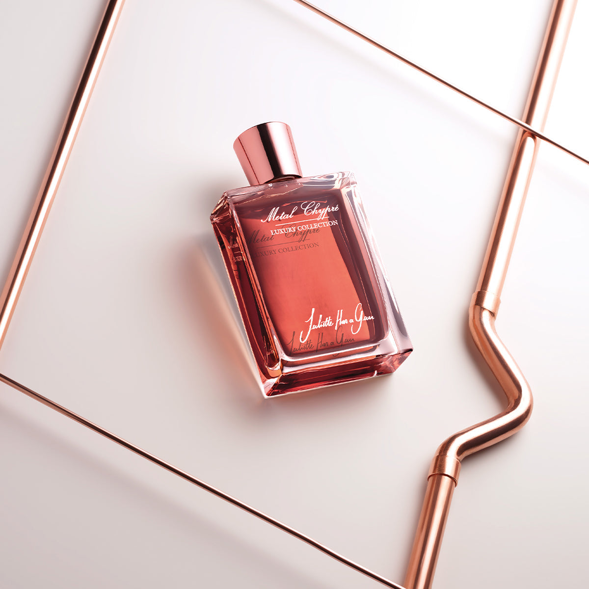 Metal Chypre - Juliette has a gun - EDP 75ml