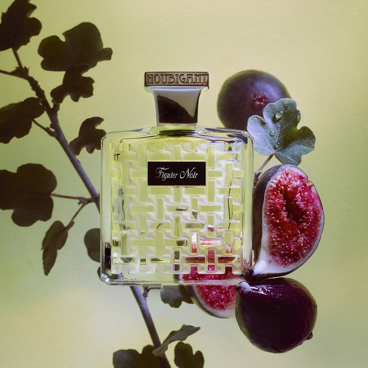 Figuier Noir - Houbigant Paris - EDP 100ml