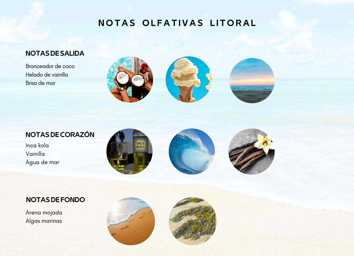 Litoral EDP (Decants)