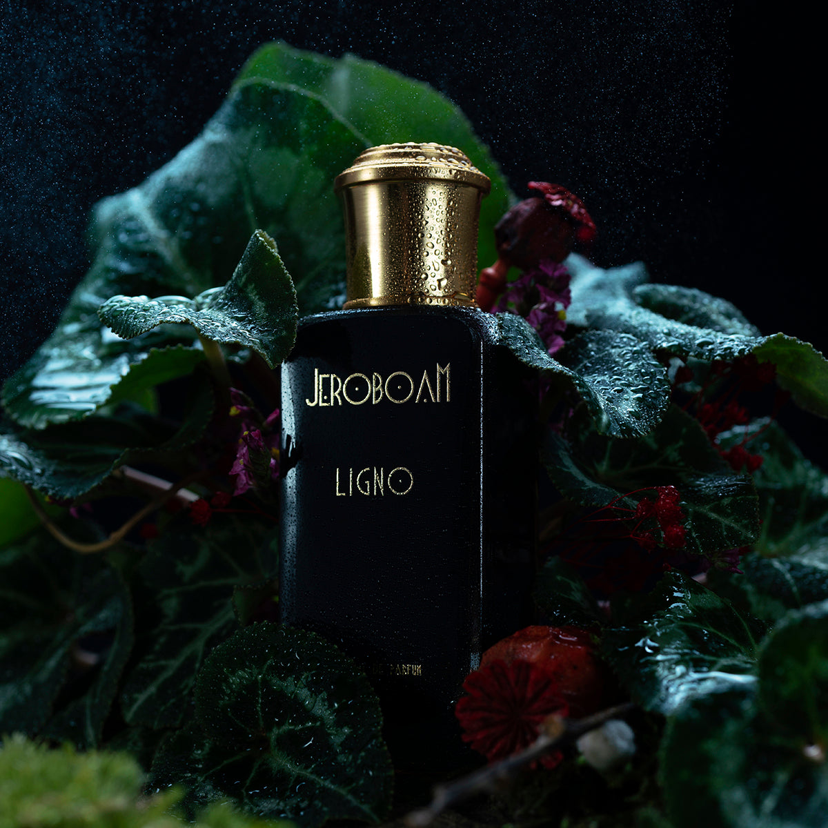 Ligno - Jeroboam Paris -  EP 30 ml